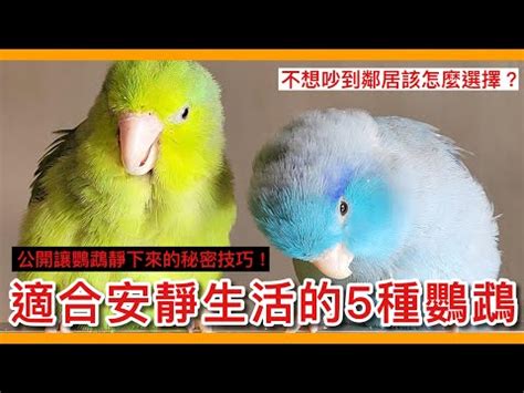 什麼動物可以養|你適合飼養哪一種寵物？